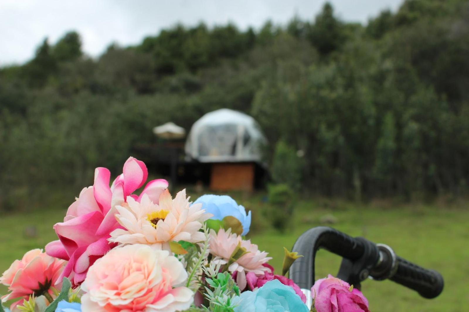Glamping La Villa Guatavita Bagian luar foto